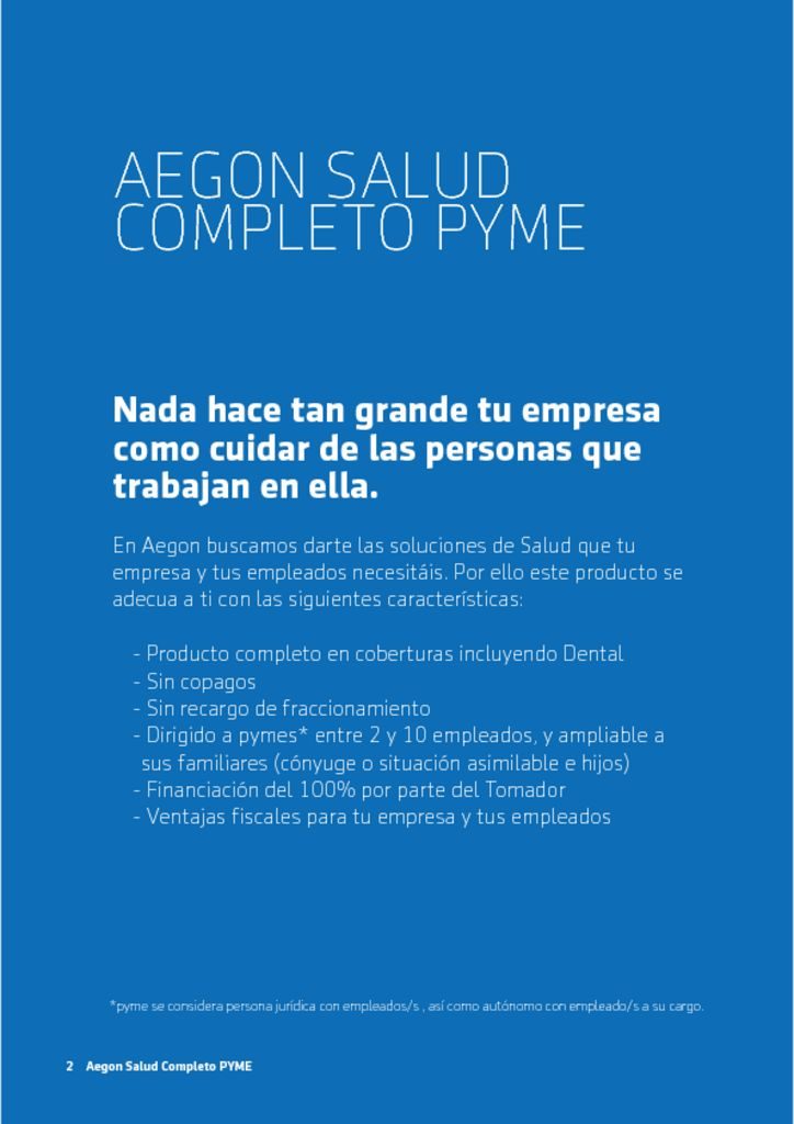 thumbnail of aegon-pyme